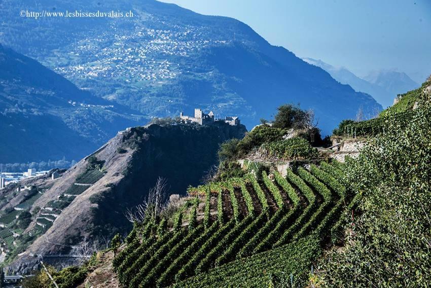 Le Manoir De Champlan Bed & Breakfast Grimisuat Exterior foto